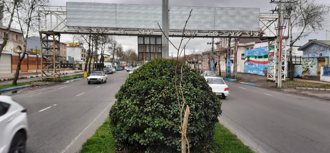 تیم رسانه ای آوای لطیف که همه مردمی هستند که مشکلاتشان را رسانه ای می کنیم خطاب به مسرور مدیرکل سازمان بازرسی استان گیلان : دستور فرمائیدضمن اینکه باید هرچه سریعتر پل هوایی مورد بهره برداری مردم قرار بگیرد با متولیان ساخت این پل هوایی که به تعهداتشان عمل نکردند برخورد شود.