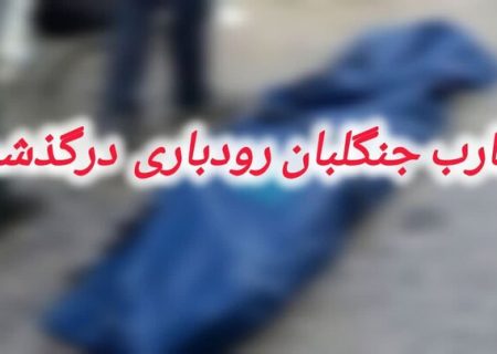 ضارب جنگلبان رودباری بر اثر برق‌گرفتگی جان باخت