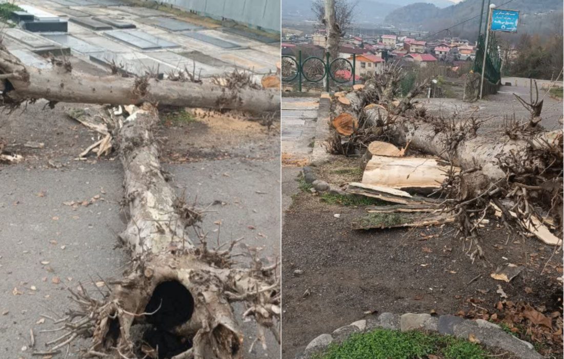 رئیس اداره اوقاف و امورخیریه شهرستان رشت در بیانیه‌ای جزئیات صدور مجوز قطع درختان امامزاده هاشم را تشریح کرد