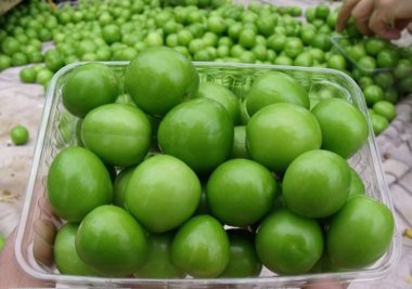 ماجرای گوجه‌سبز ۴ میلیون تومانی در تجریش/ این گوجه‌سبزها از کجا آمده است؟