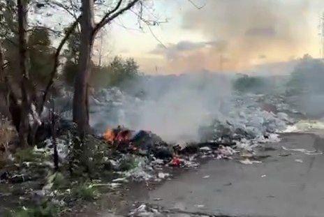 از دستور عجولانه استانداری گیلان تا بی تفاوتی اداره کل محیط زیست؟!