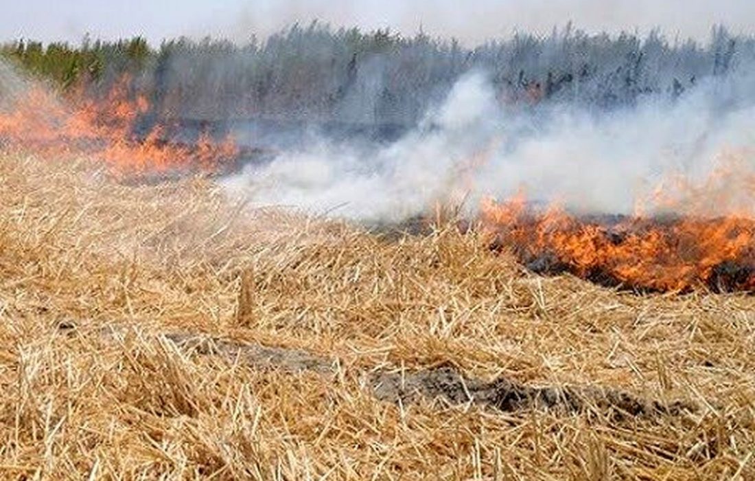 اختلاف زن و شوهر بوکانی هفت هکتار مزرعه گندم را به آتش کشاند