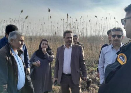 حریق تالاب بین‌المللی انزلی مهار شد