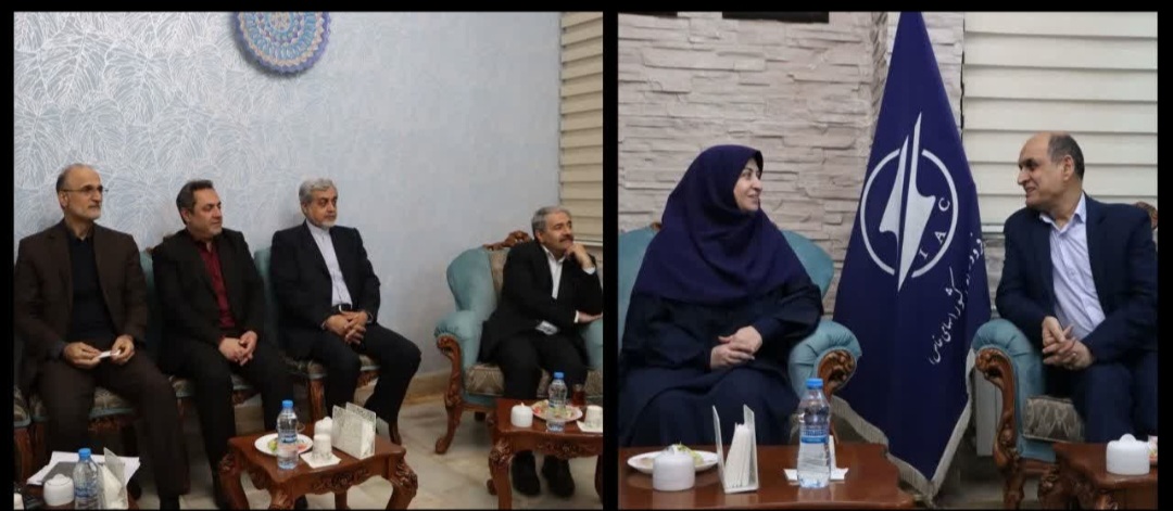معاون رئیس جمهور و رئیس سازمان حفاظت محیط زیست کشور وارد گیلان شد