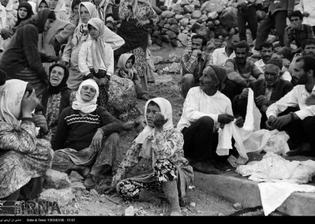رودبار؛ شهری که دیگر تقویم ندارد، فقط ۳۱ خرداد/درختان زیتون رودبار، میوه نمیدهند؛ آنها عزادار ریشه های سوخته اند