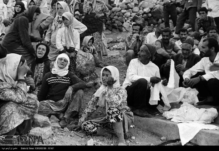 رودبار؛ شهری که دیگر تقویم ندارد، فقط ۳۱ خرداد/درختان زیتون رودبار، میوه نمیدهند؛ آنها عزادار ریشه های سوخته اند