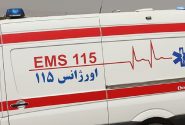 مصدومان مسمومیت گیاه تاتوره در بجنورد به ۱۳ نفر رسید