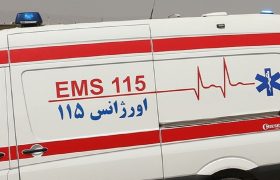 مصدومان مسمومیت گیاه تاتوره در بجنورد به ۱۳ نفر رسید